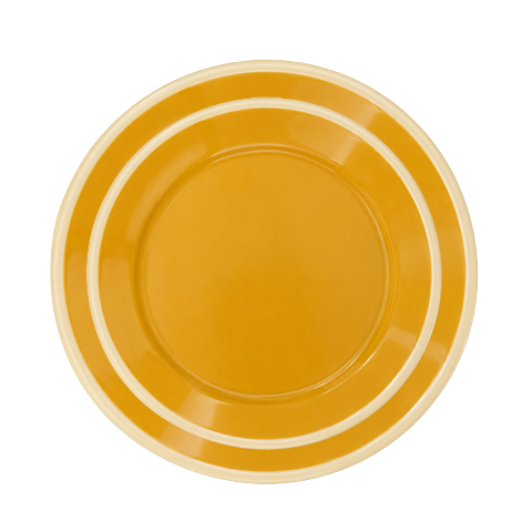 HIGH NOON ENAMEL DINNER PLATE