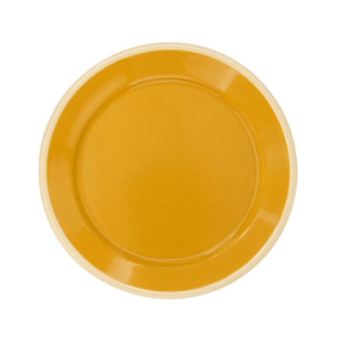 HIGH NOON ENAMEL DINNER PLATE