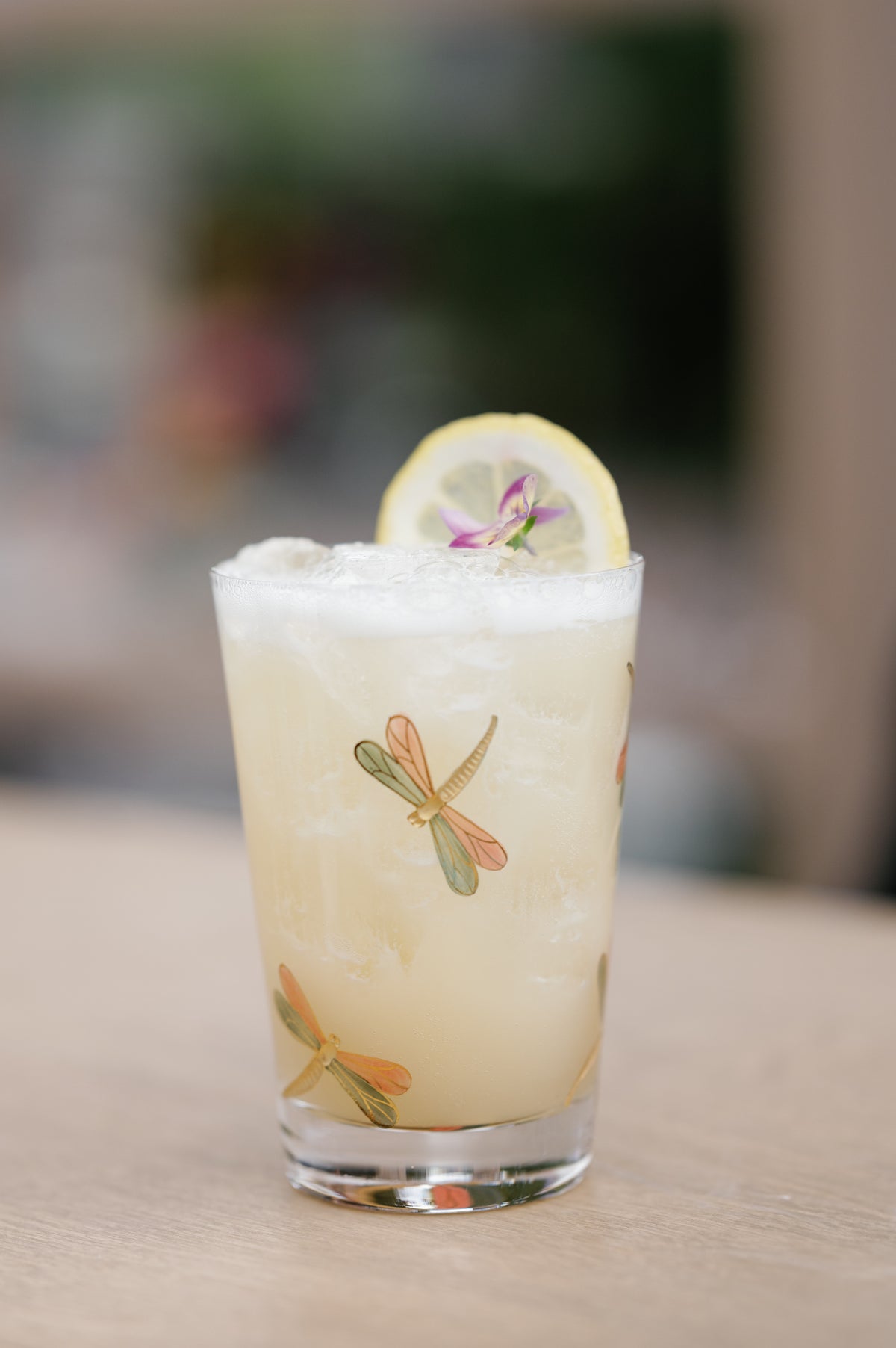 FLY FUSION | DRAGONFLY